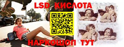 амф Новозыбков