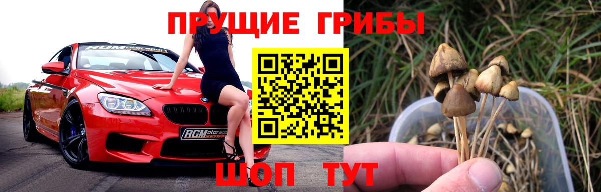 Трёхгорный  Галлюциногенные грибы прущие грибы  Вход с VPN 